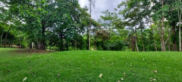 SE VENDE BELLÍSIMA QUINTA EN SAN MATEO DE ALAJUELA.  en San Mateo, Alajuela — ₡ 40 000 000