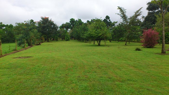 Hermosa Quinta en Sarapiqui in Puerto Viejo, Sarapiquí, Heredia — $95,000 - Photo 2 of 11