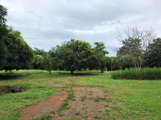 Terreno frente a la Ruta 27 Coyolar Orotina en Coyolar, Orotina, Alajuela — $2,400,000