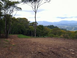 Finca de 1 Ha con 2 Planteles y Vistas Panorámicas en San Blas in San Pedro, Pérez Zeledón, San José — 60 000 000 ₡ - Photo 2 of 8