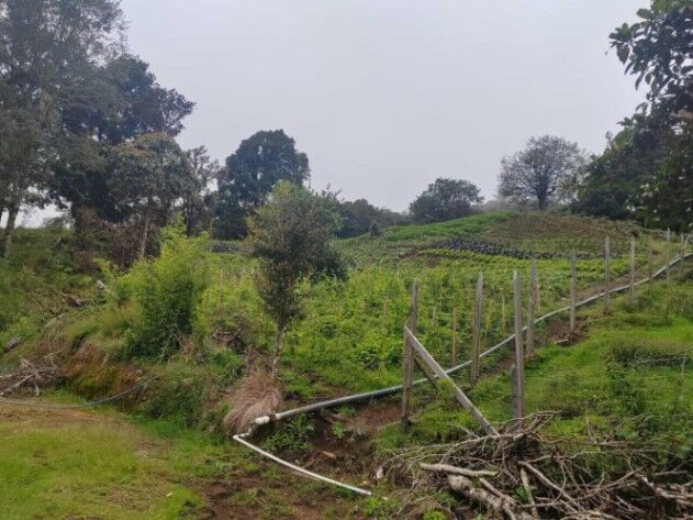 Venta de Hermoso Terreno Agrícola en Santa María, Dota / JB OFC Mls. 25-1060 en Santa María, Dota, San José — $710,000