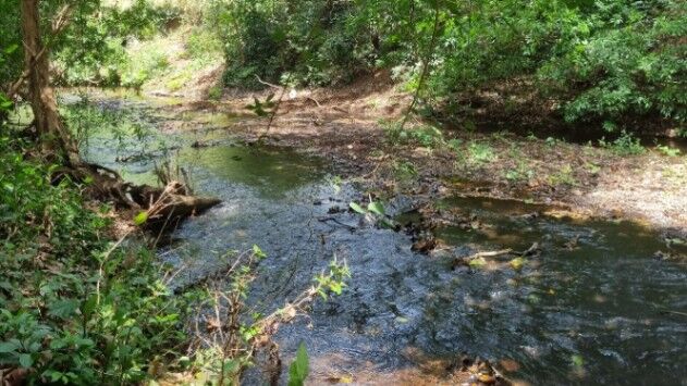 Venta de Finca en Garabito, Puntarenas. RAH 25-1708 in Jacó, Garabito, Puntarenas — $1,000,000