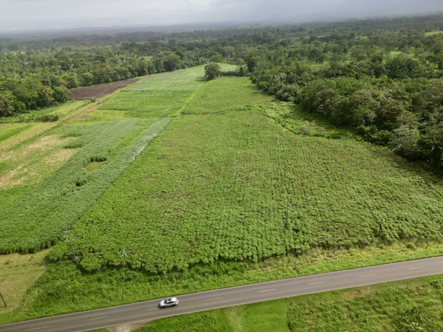Preciosos Lote de 2000 m2 en Fortuna en La Fortuna, San Carlos, Alajuela — ₡ 30 000 000