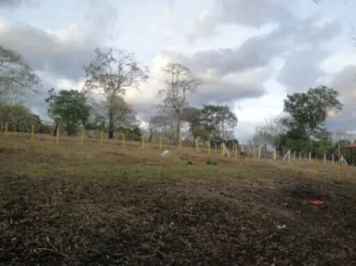 Terreno en venta para construir de 1350 mts, ubicado en Atenas Alajuela en Atenas, Alajuela — ₡ 55 000 000