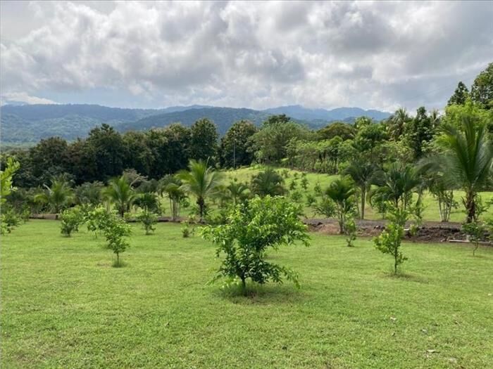 VENTA DE QUINTA, PUNTARENAS, GARABITO, TARCOLES. en Tárcoles, Garabito, Puntarenas — $325,000
