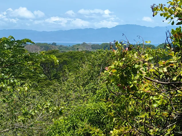 Lote con vista al Golfo de Nicoya | Esparza | Puntarenas en Espíritu Santo, Esparza, Puntarenas — $49,284 - Foto 2 de 21