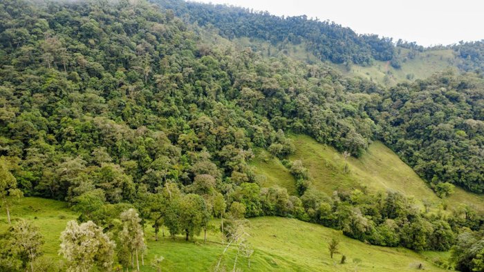 Refugio de Montaña de 72 Hectáreas en Cajón, Pérez Zeledón, San José — $1,200,000 - Foto 3 de 24