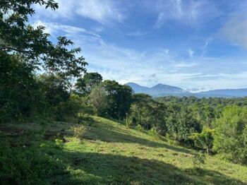 LOTE EN VENTA, SARAPIQUI HEREDIA en La Virgen, Sarapiquí, Heredia — $410,000 - Foto 5 de 11