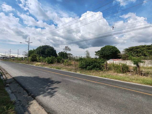 Terreno industrial en Orotina ideal para Centro de almacenamiento en La Ceiba, Orotina, Alajuela — $530,750 - Foto 2 de 13