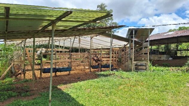 FINCA AGRÍCOLA EN VENTA CAJÓN, PÉREZ ZELEDÓN, COSTA RICA (42,841 m²)  in Cajón, Pérez Zeledón, San José — $299,999