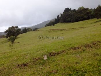 Farm For Sale Santo Domingo, Santa Bárbara, Heredia