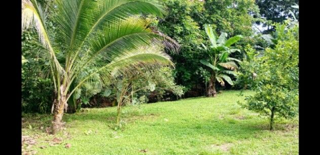 SE VENDE VERDADERA BELLEZA DE PROPIEDAD EN SARAPIQUÍ.  in La Virgen, Sarapiquí, Heredia — ₡ 12 000 000