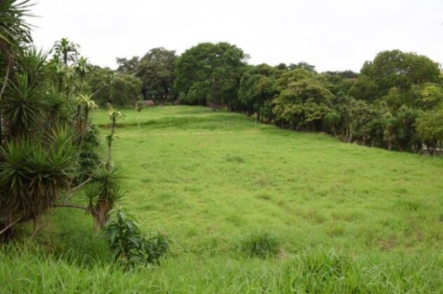 Se vende amplio lote de 2 hectáreas en Póas Alajuela 23-1912 en Carrillos, Poás, Alajuela — $469,000