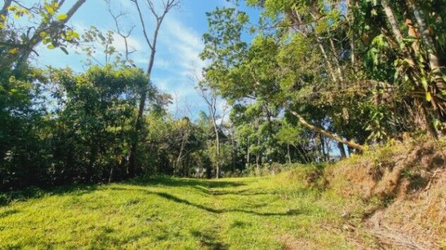 Beautiful land (26+ acres) for sale in the heart of Quizarra in Cajón, Pérez Zeledón, San José — $399,000