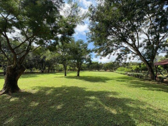 Venta de Lote en Orotina - Con Gran Potencial. RAH 26-1010  en Orotina, Alajuela — ₡ 95 020 000 - Foto 2 de 13