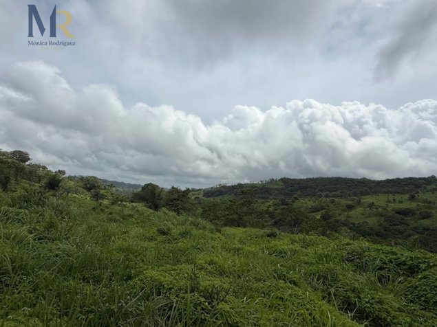 Finca de 85.9 Hectáreas con Río  Oportunidad de Inversión Agropecuaria en La Garita, La Cruz, Guanacaste — ₡ 429 650 000 - Foto 2 de 17