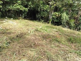 Lote de oportunidad 1654m2 en San Isidro De El General, Pérez Zeledón, San José — 35 000 000 ₡ - Foto 2 de 12