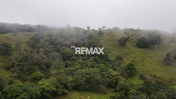 Venta de Terreno para Desarrollo en San Ramón | 56 Ha en Ángeles, San Ramón, Alajuela — 564 000 000 ₡ - Foto 4 de 22