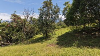 SE VENDE TERRENO LISTO PARA CONSTRUIR EN ZONA TRANQUILA Y DE CLIMA FRESCO en Cajón, Pérez Zeledón, San José — 16 000 000 ₡ - Foto 3 de 11