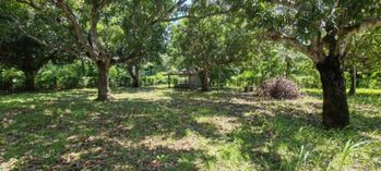 Venta de Lote en La Ceiba, Alajuela. RAH 25-1948 en La Ceiba, Orotina, Alajuela — 45 000 000 ₡ - Foto 5 de 12
