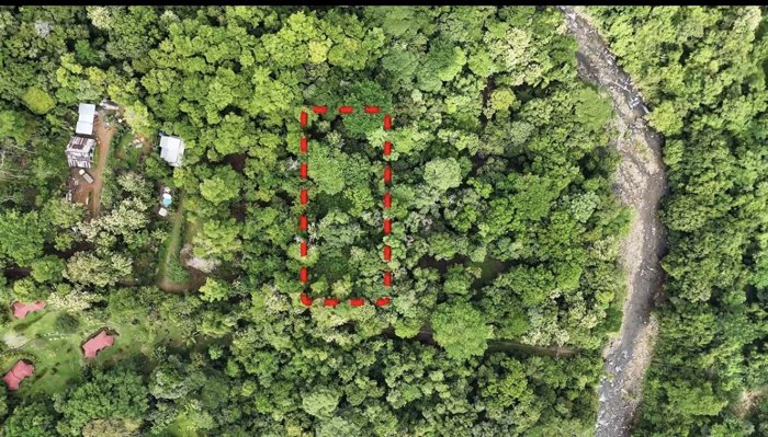 SE VENDE TERRENO LISTO PARA CONSTRUIR CERCA DE LA PLAYA Y JUNTO AL RIO en Bahía Ballena, Osa, Puntarenas — $185,000