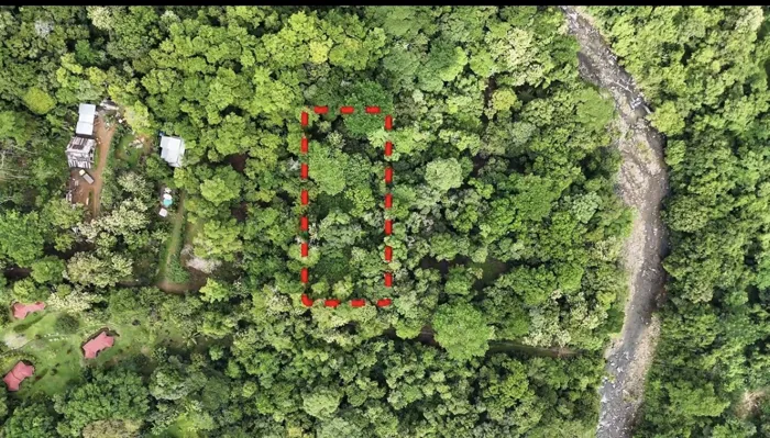 FOR SALE: BUILDABLE LAND NEAR THE BEACH AND NEXT TO THE RIVER in Bahía Ballena, Osa, Puntarenas — $185,000