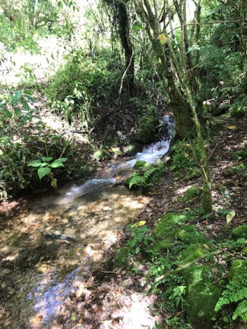Property in a peaceful area of ​​Rivas, Pérez Zeledón, Costa Rica en Rivas, Pérez Zeledón, San José — $800,000 - Foto 3 de 63
