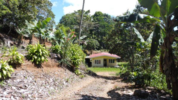 Finca de 2.7 hectares con casa. en Platanares, Pérez Zeledón, San José — $205,000