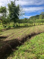 Farm For Sale Atenas, Atenas, Alajuela