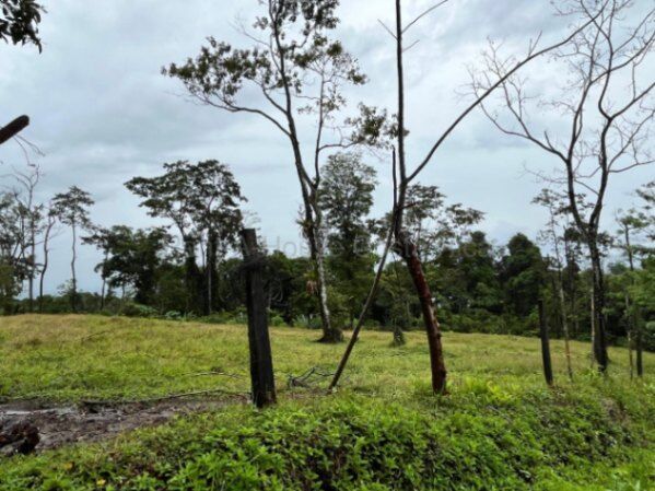 Venta finca amplia con potencial agrícola o turístico en entorno natural #26-1801 GS en Peñas Blancas, San Ramón, Alajuela — $200,000