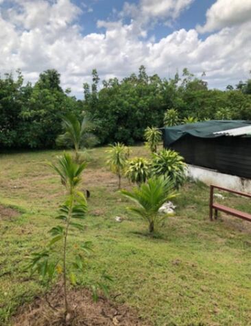 Lote en venta in San Sebastián, San José — ₡ 3 300 000