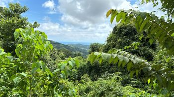 Venta de lote en la playa para desarrollar proyecto en Garabito en Tárcoles, Garabito, Puntarenas — $700,000 - Foto 3 de 8