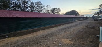 VENTA - Granja avícola de engorde  en Río Cuarto de ALAJUELA - 9.5 HA- CON CONTRATO Y CASAS DE HAB in Santa Isabel, Río Cuarto, Alajuela — $5,600,000 - Photo 5 of 14