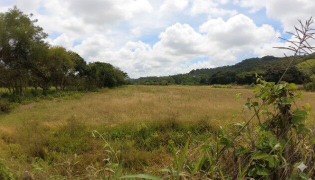 PROPIEDAD EN VENTA EN EL ROSARIO DE PACUAR, PZ OPORTUNIDAD DE INVERSIÓN en El General, Pérez Zeledón, San José — $220,000