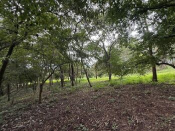 Venta de Lote en Curubandé. RAH 26-1012 in Curubandé, Liberia, Guanacaste — $593,000 - Photo 4 of 12