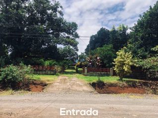 FINCA EN VENTA, TOPOGRAFÍA TOALMENTE PLANA, OROTINA, USO MIXTO in Hacienda Vieja, Orotina, Alajuela — $449,000 - Photo 5 of 14