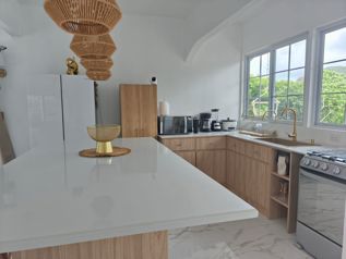 VENTA DE QUINTA CON CASA, SAN JOSÉ, SAN PEDRO, TURRUBARES en San Pedro, Turrubares, San José — $269,000 - Foto 4 de 19