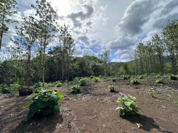 Venta de Lote en Nicoya, Guanacaste. RAH 25-1990 in Nicoya, Guanacaste — $65,000
