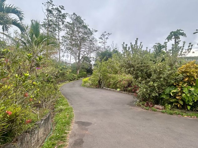 VENTA DE QUINTA CON CASA, APTO Y PISCINA, SAN RAMÓN, SAN ISIDRO en San Isidro, San Ramón, Alajuela — $430,000