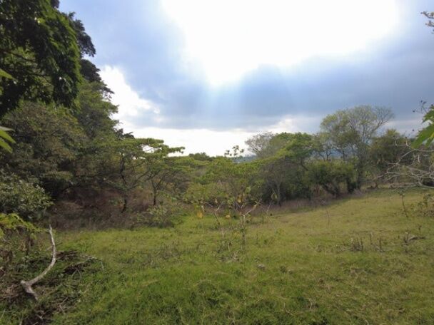 Se vende lote de 6,800m2 en San Luis de Santo Domingo 23-3201 en Santo Domingo, Heredia — ₡ 360 000 000