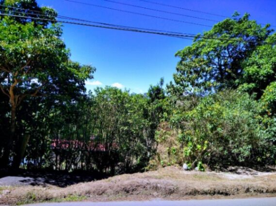Propiedad en Copalchi in Quebradilla, Cartago — ₡ 70 000 000