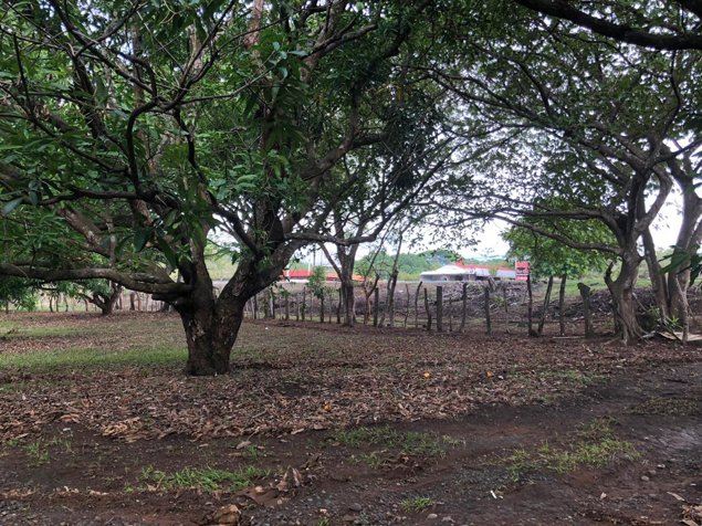 Terreno comercial 2 Ha frente a la Ruta 27 Coyolar en Coyolar, Orotina, Alajuela — $965,000