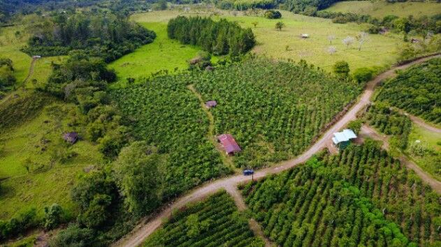 Finca Cafetalera de 2.3 Hectáreas con Manantial, Quebrada y Vistas en Santa Elena, Pérez Zeledón in San Isidro De El General, Pérez Zeledón, San José — $350,000