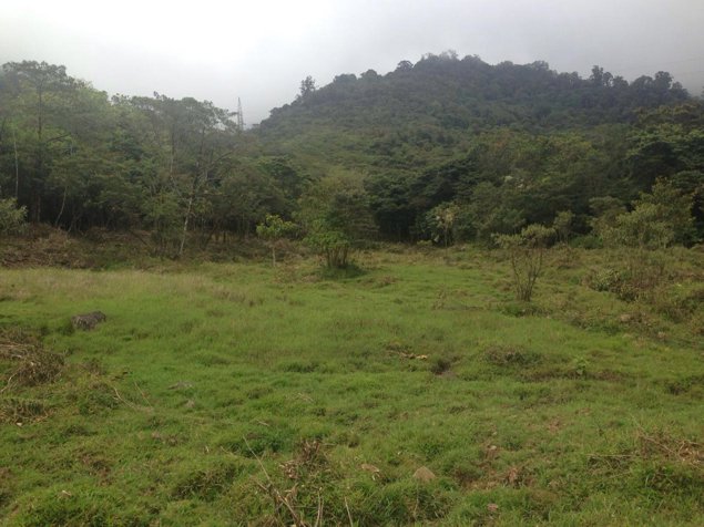 Finca de 28 ha, Valle de OROSI, Cartago en Orosi, Paraíso, Cartago — $850,000 - Foto 2 de 5