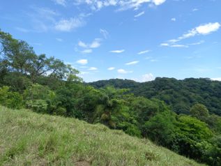 Venta de finca en Esparza Puntarenas Sector parcelas el Barón en San Juan Grande, Esparza, Puntarenas — $840,000 - Foto 4 de 31