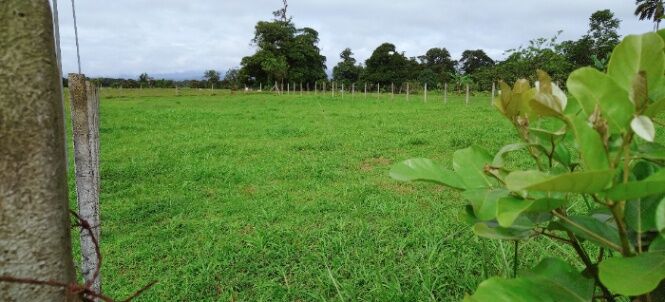 VENTA DE LOTE in Puerto Viejo, Sarapiquí, Heredia — ₡ 15 000 000