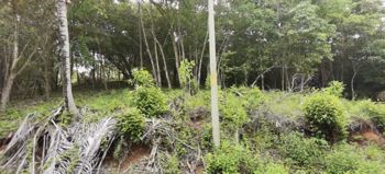 Terreno para desarrollo Corozalito Guanacaste AJ en Bejuco, Nandayure, Guanacaste — $306,880 - Foto 4 de 23