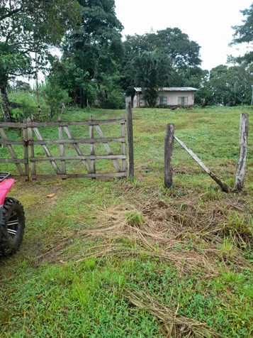 Finca en Venta en Upala | 7 Hectáreas Planas Producción de Piña en Upala, Alajuela — ₡ 90 000 000