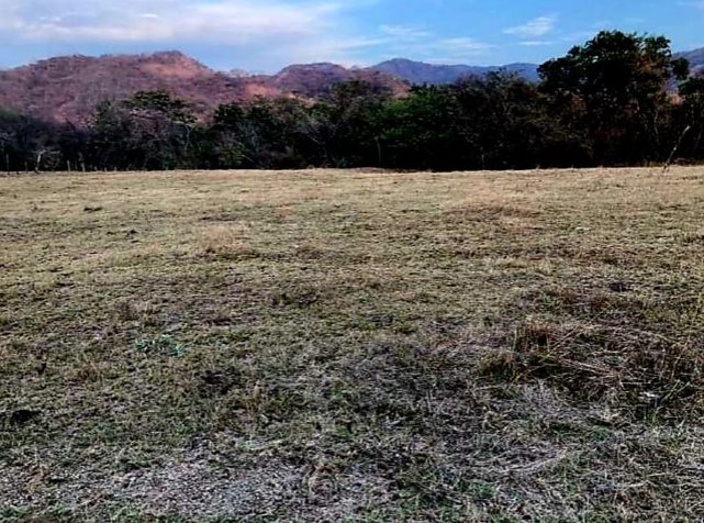 VENTA DE LOTE, GUANACASTE, SANTA CRUZ en Santa Cruz, Guanacaste — $50,000