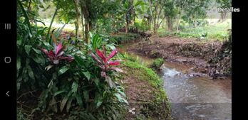 Finca en Venta La Virgen, Sarapiquí, Heredia